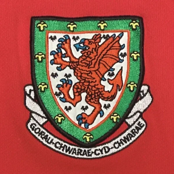 2010 Wales Home Kit (L)